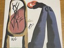 SIGNED The Story So Far - I Want To Disappear Exclusive Color LP Autographed