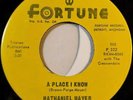 Nathaniel Mayer And The Dynamics - A Place I Know (7