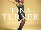 QUEEN OF ROCK N ROLL (5LP) by Tina Turner