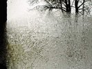 Bon Iver - For Emma, Forever Ago - Vinyl LP [New & Sealed]