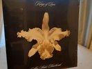 KINGS OF LEON - Aha Shake Heartbreak (DOUBLE VINYL ALBUM  - SEALED)