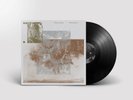 The Vernon Spring What's Going On (Vinyl) 12