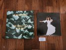 Kate Bush The Single File 13 7