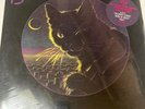Bobby Weir & The Midnites Lp Self-Titled On Arista - Sealed   with Hype Sticker