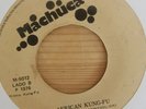 Afro Latin Funk 45 CUMBIA SIGLO XX African Kung Fu MACHUCA Hear