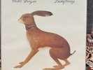 VASHTI BUNYAN Lookaftering 2006 FATCAT Gatefold 1st PRESSING Vinyl LP RARE NM