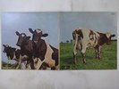Pink Floyd Atom Heart Mother Odeon OP-80102 Japan  VINYL LP