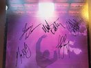 Petra Beat The System Lp SIGNED Greg X Volz Mark Kelley Bob Hartman Louie Weaver