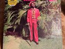 I ROY gussie presenting SUNSPOT uk NM/NM shrink +10 inch LE re
