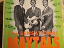 THE MAYTALS the sensational BNM/DYNAMIC ja VG+/VG+