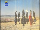 Why Pay More? ALAN PARSONS Try Anything Once - SEALED IMORTED VINYL