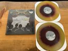 SEALED FALL OUT BOY From Under Cork Tree MAROON GOLD VINYL LP_no folie a deux