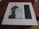 THE ORCHIDS - Penetration - 12' EP - Sarah Records 42 - Field Mice 1st Press
