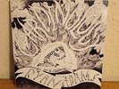 RYAN ADAMS & THE CARDINALS Cardinology Vinyl LP