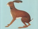 BUNYAN, Vashti - Lookaftering (20th Anniversary Edition) - Vinyl (2xLP)