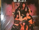 W.A.S.P  WASP  Sexual Perverts 1 LP MINT Colored VInyl