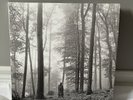 Taylor Swift Folklore In The Trees Brown Vinyls
