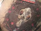 Boehse Onkelz picture lp ich bin in Dir neu mint