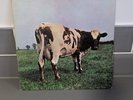 PINK FLOYD – ATOM HEART MOTHER 1979 USA LOS ANGELES PRESS VINYL LP SKAO 382