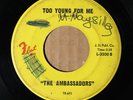 The Ambassadors - Too Young For Me - FLEET 3500 VG SOUL