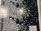 The Wake “Something That No One Else Could Bring” 1987
