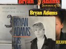 Brian Adams 8 Stock 45s w/9 Pic Sleeves  Summer Of 69 Run To You This Time MORE