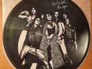 ALICE COOPER Love It To Death Picture Disc VG+.