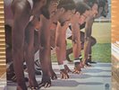 The Blackbyrds, Action, 1977 1st Fantasy, F-9535, Gatefold, VG/VG