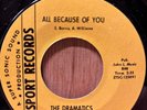 THE DRAMATICS   All Because Of You Northern/Ballad 45   If You Haven’t Got Love
