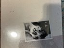 FLEETWOOD MAC  Tusk 1979 Factory Sealed