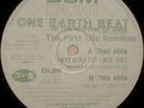 Dum Dum - One Earth Beat (To The Rhythm Of Love) (The First Life Remixes) Vinyl