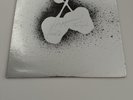 SILVER APPLES S/T Original Promo  NM ,WLP Signed W/Poster + Inserts + Photo