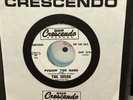 HEAR The Seeds Promo 45 “Pushin Too Hard/Try To Understand” Crescendo GNP 373 7”