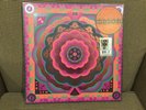 RSD 2023 Grateful Dead Boston Garden Boston MA 5/7/77 (Live)Only 9k worldwide