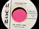 THE GOLDEN TONES - Little Island Girl / Doreetha - clean Promo 45 rpm - Hush 101