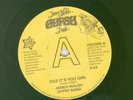 James Walsh Gypsy Band - Cuz It's You Girl / Bring Yourself Around, 7