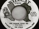 THE LYRICS DooWop 45 The Girl I Love on WILDCAT PROMO LABEL