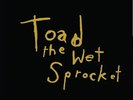 Toad the wet Sprocket ( LIMITED EDITION 5 LP Box Set )