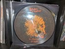 * Barns Courtney THE ATTRACTIONS OF YOUTH Picture Disc Vinyl LP NEW & SEALED