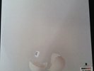 A Ghost Is Born by Wilco (Record, 2005)