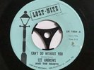 Lee Andrews And The Hearts”Can't Do Without You” Northern Soul 45 Ex Copy