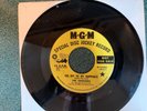 The Charades. The Key to My Happiness. G+ crackling sound. 1966. Promo