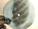 BEATLES PAPERBACK WRITER X-Ray USSR Record Roentgen Bone Ribs Music Vinyl
