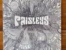 The Paisleys –Cosmic Mind At Play –Minneapolis Psych Rock-Pop Vinyl LP-OG-Shrink