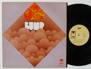 BUMP self titled LP original 1970 Pioneer, private Detroit psych rock, NM Vinyl