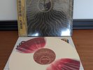 Kikagaku Moyo - Mammatus Clouds - Limited Edition, Reissue, Burgundy / Cream