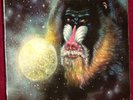 LP SEALED MANDRILL MANDRIL IS 1972 POLYDOR ORIG PRESS NOT CUTOUT FUNK LATIN ROCK