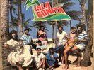 ISLA BONITA/ RARE SALSA GUAGUANCO ROMANTICA LP PUERTO RICO