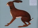 Vashti Bunyan - Lookaftering - Expanded  (Vinyl 2LP - 2025 - UK - Original)