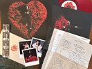 Conan Gray Superache Ruby RED LP Record, 2022 Album Insert Polaroids Lyric Sheet